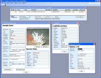 Thumbnail image of Figure 7B screen shot of database showing search window, sample and species window, taxonomy window, and reporter information widow, with link to larger figure.