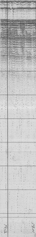 NECH80-1 seismic line 3Ab_2.