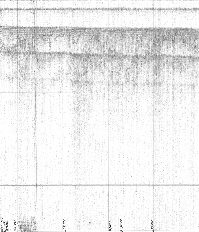 NECH80-1 seismic line 6a_1.
