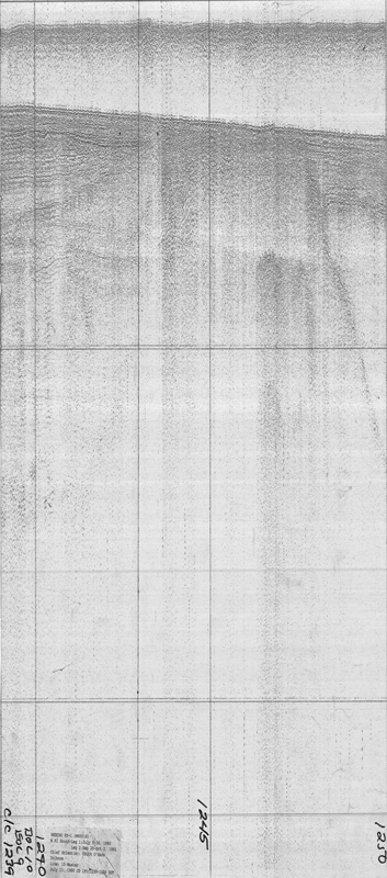 NECH80-1 seismic line 10a_1.
