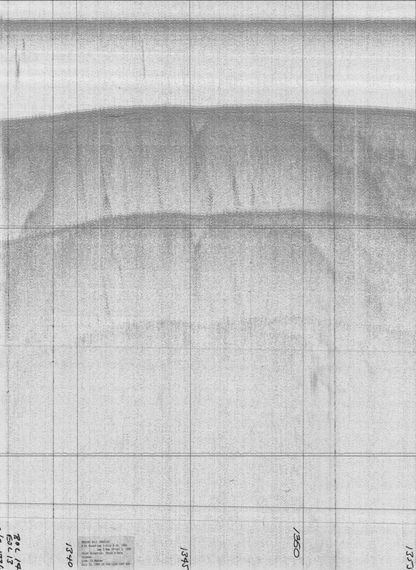 NECH80-1 seismic line 14_1.