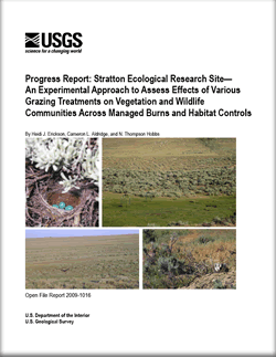 Thumbnail of cover and link to report PDF (2.2 MB)