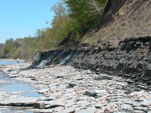 Figure 7. Photograph showing bedrock exposure in base of bluff and shingle beach near Presque Isle, Pa. Photograph from Pennsylvania Coastal Resource Management Program.