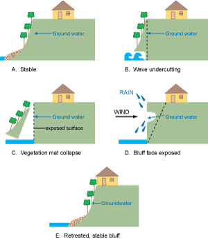 Figure 9. Schematic diagrams showing stages of bluff retreat unique to the Lake Erie, Pa., bluffs. (A) Bluff is in a stable condition; steep slopes are fully vegetated and vegetation is nourished by ample ground-water flows; residential structure is a safe distance from the bluff crest. (B) Wave contact at the base of the bluff undercuts the bluff face and creates instability for the now-unattached vegetation mat higher on the bluff face. (C) The bluff face, stripped of a protective vegetative mat, is increasingly susceptible to further erosion. (D) The unprotected and over-steepened bluff face is susceptible to the erosion processes of wind, rain, and ground-water flow. (E) The bluff slope retreats to an angle of repose, vegetation returns, and the bluff face is stabilized. However, bluff recession now has encroached close to the residential structure.
