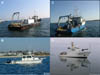 Thumbnail image of Figure 3, photographs of four research vessels.
