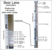 Figure 3. Diagram showing results of a sediment-trap experiment in Bear Lake, Utah/Idaho, in which sediments were separated by layers of Teflon granules dispensed by an early version of the Intervalometer. Some intervals within the sediments of the collection tube were not clearly separated by the granules because of low sedimentation rates.
