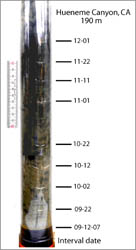 Figure 5. Photograph showing the lower section of the collection tube recovered from the Hueneme Canyon sediment trap, which was placed 30 m above the sea floor (30 mab). The edges of the discs deposited at 10-day intervals in the sediment column appear as horizontal white lines throughout the tube. Scale is in centimeters.