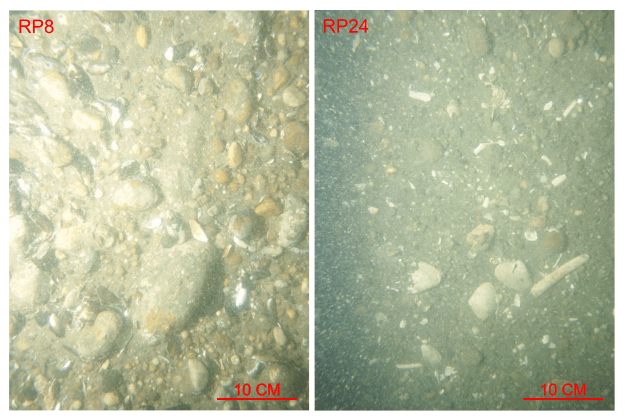 Figure 29. Two photographs of the sea floor showing gravel covering the sea floor in the high-energy environments at stations RP8 and RP24.