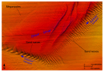 Thumbnail image of figure 21 and link to larger figure. Detailed planar view of Orient Shoal from the digital terrain model produced during National Oceanic and Atmospheric Administration survey H11251 off Rocky Point, New York. 