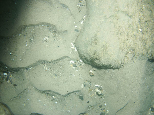 Image of the riverbed collected within the St. Clair River
