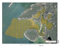 Figure 10:  Map showing seismic tracklines for the USGS geophysical survey of Red Brook Harbor, MA.