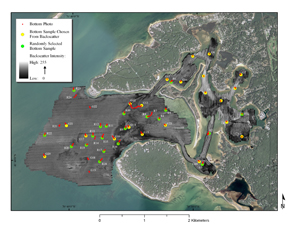 Figure 11:  Map showing the location of bottom photographs and sediment samples overlying a backscatter mosaic of Red Brook Harbor. Areas of transition between high and low backscatter, and large areas of homogeneous backscatter, were chosen for 24 of the sample sites. The remaining 24 sample sites were selected with a GIS randomization routine, and will be used in future habitat modeling efforts. Red dots depict locations of bottom photographs, yellow dots mark sample sites chosen based on backscatter characteristics, and green dots show the locations of sediment sample stations that were chosen randomly. Seven sites marked by photographs only are locations where dense shell cover on the sea floor prohibited the collection of sediment samples.