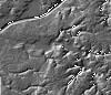 Thumbnail GIF image of the grayscale hillshade relief of the Corsica River Estuary area.