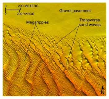 Figure 18. A bathymetric image of transverse sand waves in the study area.