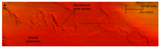Figure 23. A bathymetric image of barchanoid sand waves in the study area.