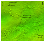 Thumbnail image of figure 22 and link to larger figure. A bathymetric image of barchanoid sand waves in the study area.