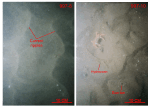 Thumbnail image of figure 28 and link to larger figure. Photographs of coarse-bedload transport in the study area.
