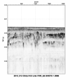 2010-012FA PNG seismic image