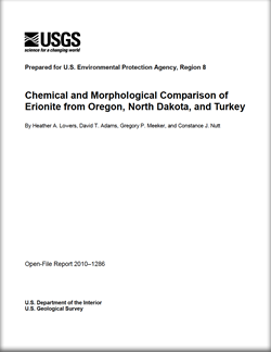 Thumbnail of cover and link to download report PDF (872 kB)