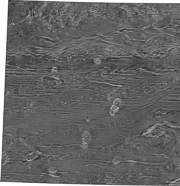 Thumbnail image showing an overview of the U.S EEZ Aleutian Arc GLORIA mosaic 15.