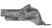 Thumbnail image showing an overview of the Gulf of Mexico GLORIA composite mosaic.