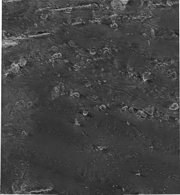 Thumbnail image showing an overview of the U.S. EEZ Hawaii I - Southeastern Hawaiian Ridge GLORIA mosaic 21.