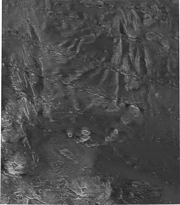 Thumbnail image showing an overview of the U.S. EEZ Hawaii III - Northwestern Hawaiian Ridge GLORIA mosaic 64.