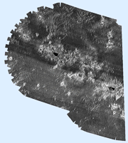 Hawaii III - Northwestern Hawaiian Ridge GLORIA sidescan-sonar mosaic.