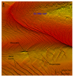 Thumbnail image of figure 18 and link to larger figure. A detailed bathymetric map of transverse sand waves.