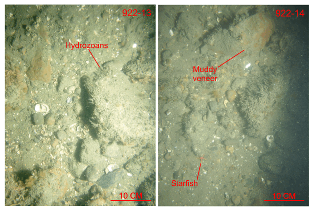 Figure 31. Two photographs of gravel at station 922-13 and 922-14.