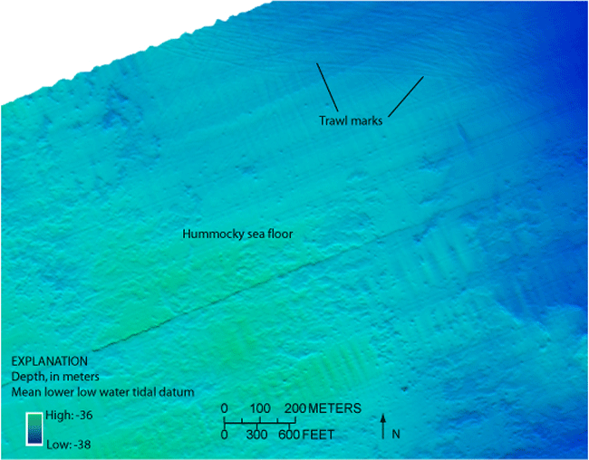 Figure 15. Bathymetry imagery showing trawl marks and a hummocky bathymetric high.