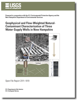 Thumbnail of and link to report PDF (950 KB)
