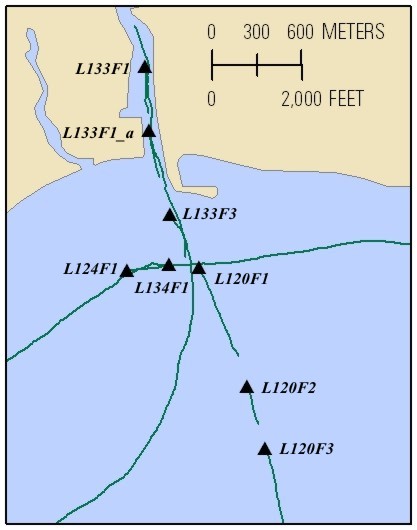 An enlarged portion of the trackline map of processed 50-m streamer CRP lines collected in Great South Bay in September, 2008. Line names provide hotlinks to the JPEG profiles.