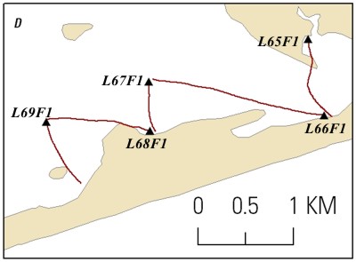 An enlarged portion of the trackline map of processed 15-m streamer CRP lines collected in Great South Bay in Area D September, 2008. Line names provide hotlinks to the JPEG profiles.