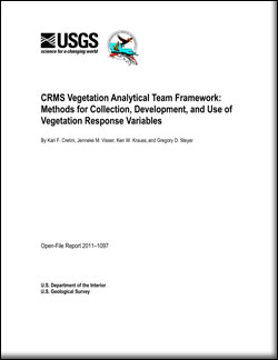 Thumbnail of cover and link to download report PDF (408 kB)
