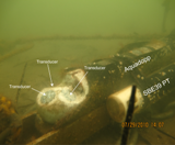Thumbnail image for figure 7 and link to larger figure. A photograph of Nortek Aquadopp and Sea-bird 39 PT sensor. 