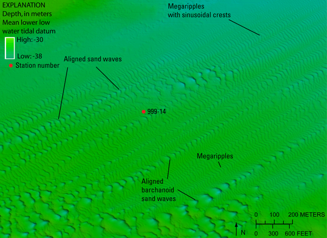 Figure 18. Image of barchanoid sand waves in the study area.