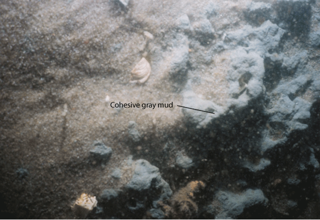 Figure 26. Photograph of the sea floor shoiwng mud on the wall of a bathymetric depression.
