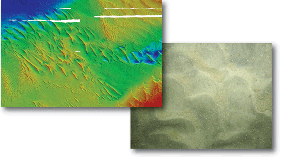 Images of multibeam bathymetry and bottom photograph from the study area in Long Island Sound