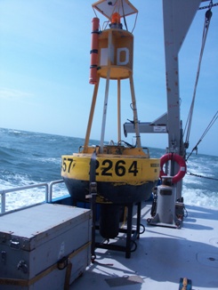 Thumbnail image for Figure 4, A photograph of the North surface buoy. Photo courtesy of Sandy Baldwin.