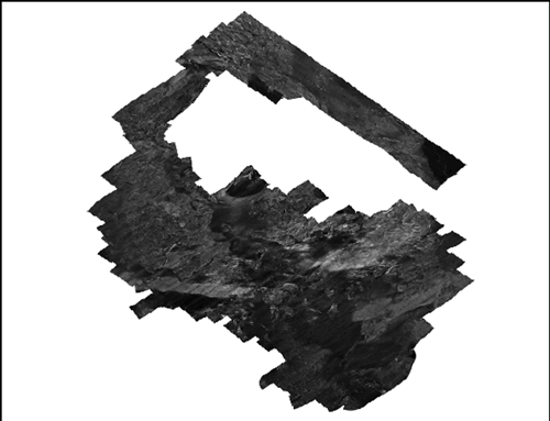 grey scale image of sidescan-sonar mosaic