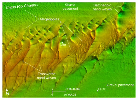 Figure 24. An image of bathymetric data showing megaripples and sand waves.