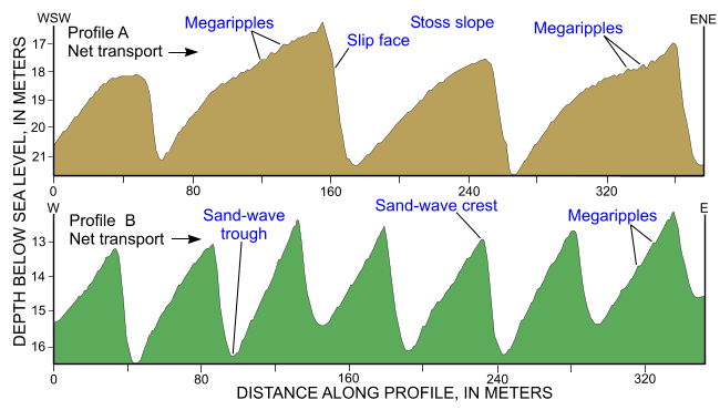 Figure 26. An image of cross-sectional views of sand waves in the study area.
