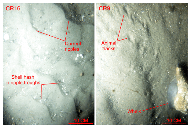 Figure 35. Two photographs of the rippled sea floor.