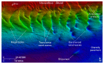 Thumbnail image of figure 23 and link to larger figure. An image of bathymetric data showing the southern flank of Horseshoe Shoal.
