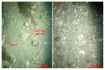 Thumbnail image of figure 32 and link to larger figure. Two photographs of gravelly sediment. 