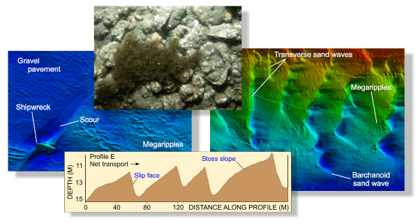 An illustration containing a multibeam bathymetry display, a bottom photograph, and a sand-wave profile from eastern Rhode Island Sound.