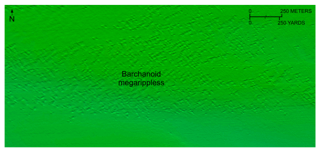 Figure 33. Image of bathymetric data showing barchanoid megaripples.