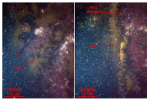 Thumbnail image of figure 40 and link to larger figure. Two photographs of the flora on boulders in high energy areas of the study area.