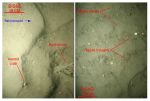 Thumbnail image of figure 43 and link to larger figure. Two photographs of the rippled sea floor.